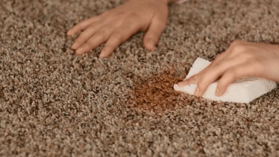 Ce trebuie sa stii despre curatarea covorului